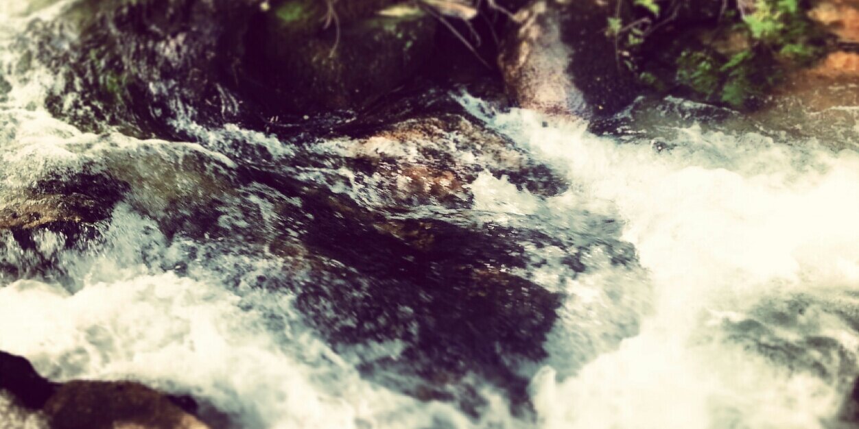 Pablo Gonzalez banner