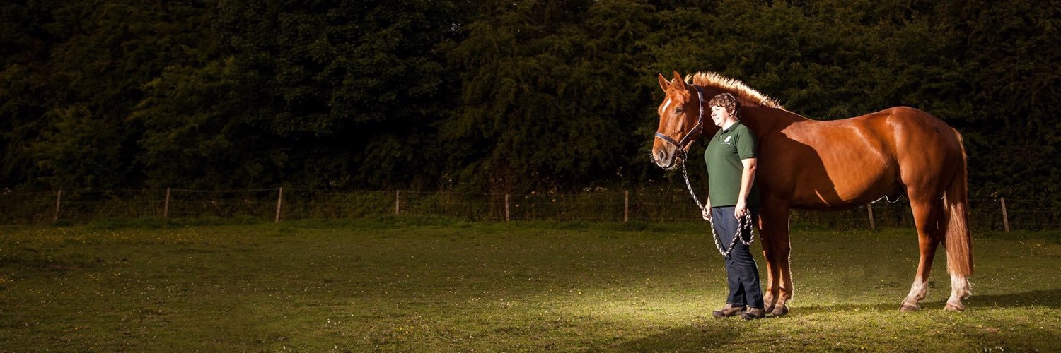 equine_advisor's profile banner image