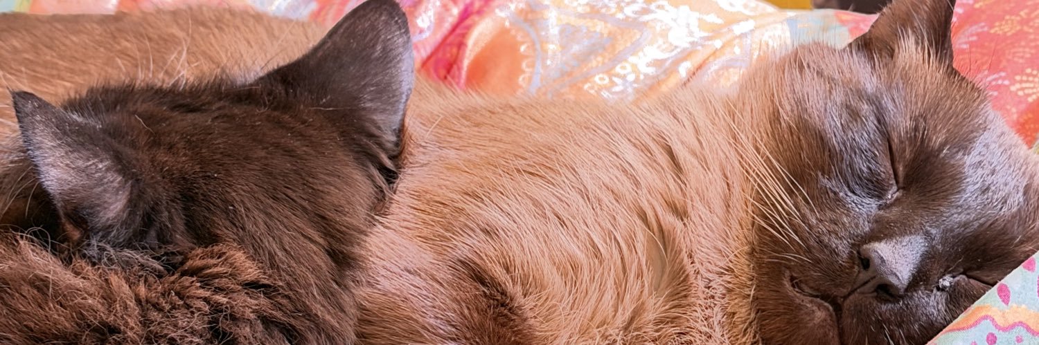 hotsyrupdrizzle's profile banner image