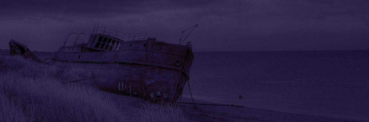 magallanicocl's profile banner image