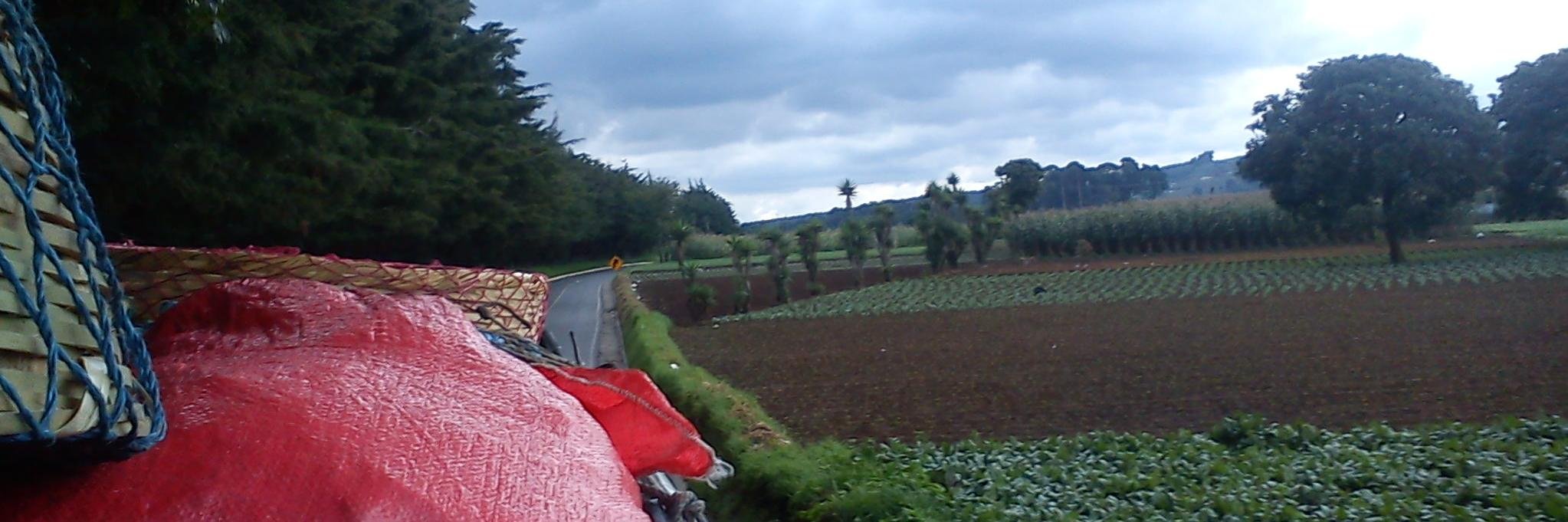 cargiosi's profile banner image