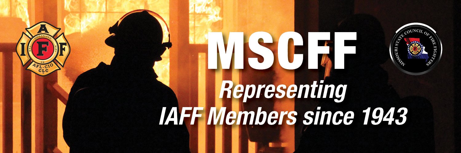 MSCFF banner