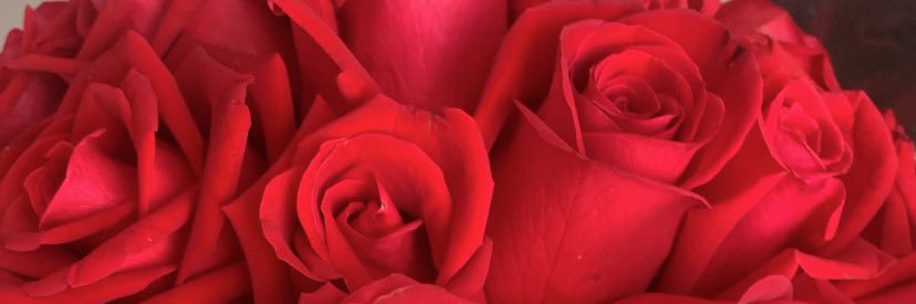 ca_rohwedder's profile banner image