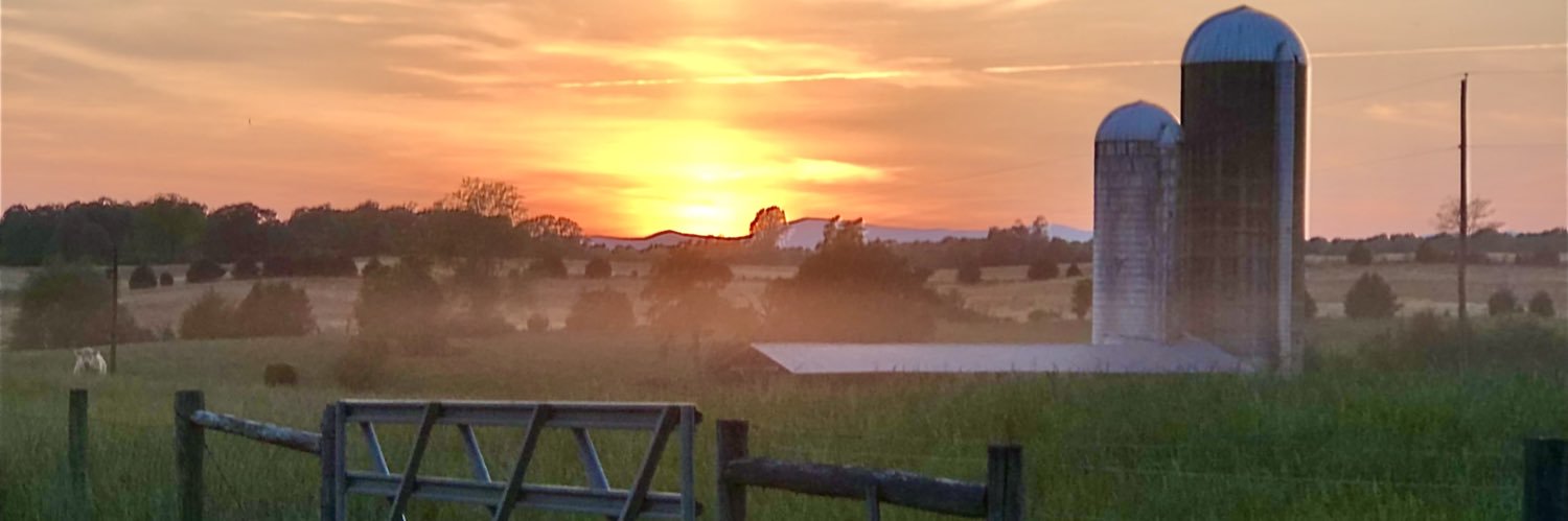 AdamBelmar's profile banner image