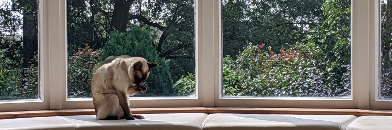 TillytooWills's profile banner image