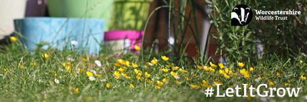 WorcsWT Profile Banner