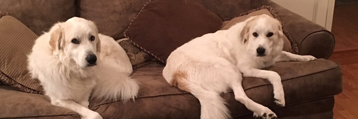 caitlinjayres's profile banner image
