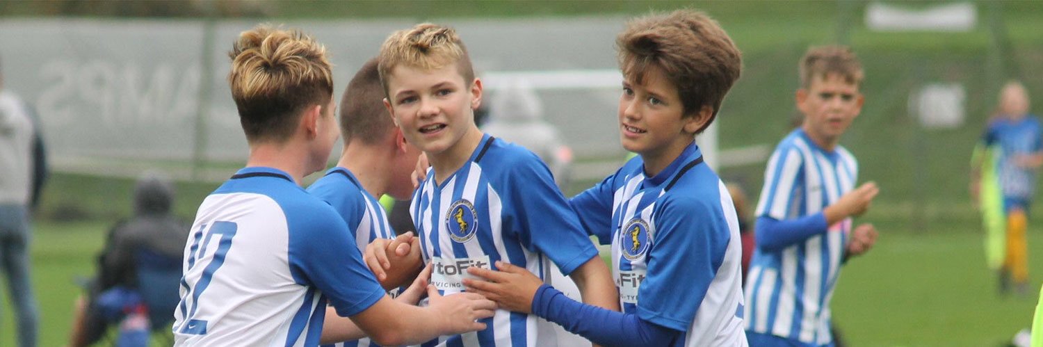 HPColts's profile banner image