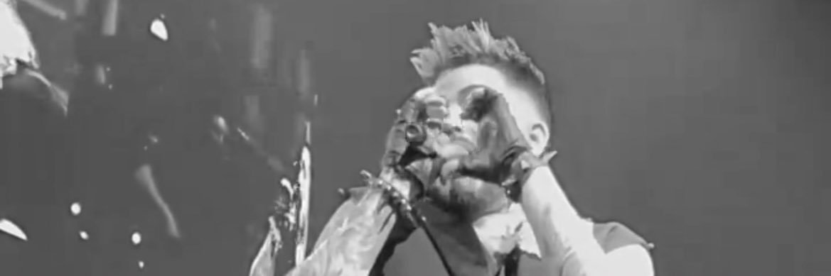 littlee_lambert's profile banner image