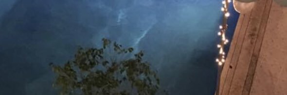 Trinilady79's profile banner image