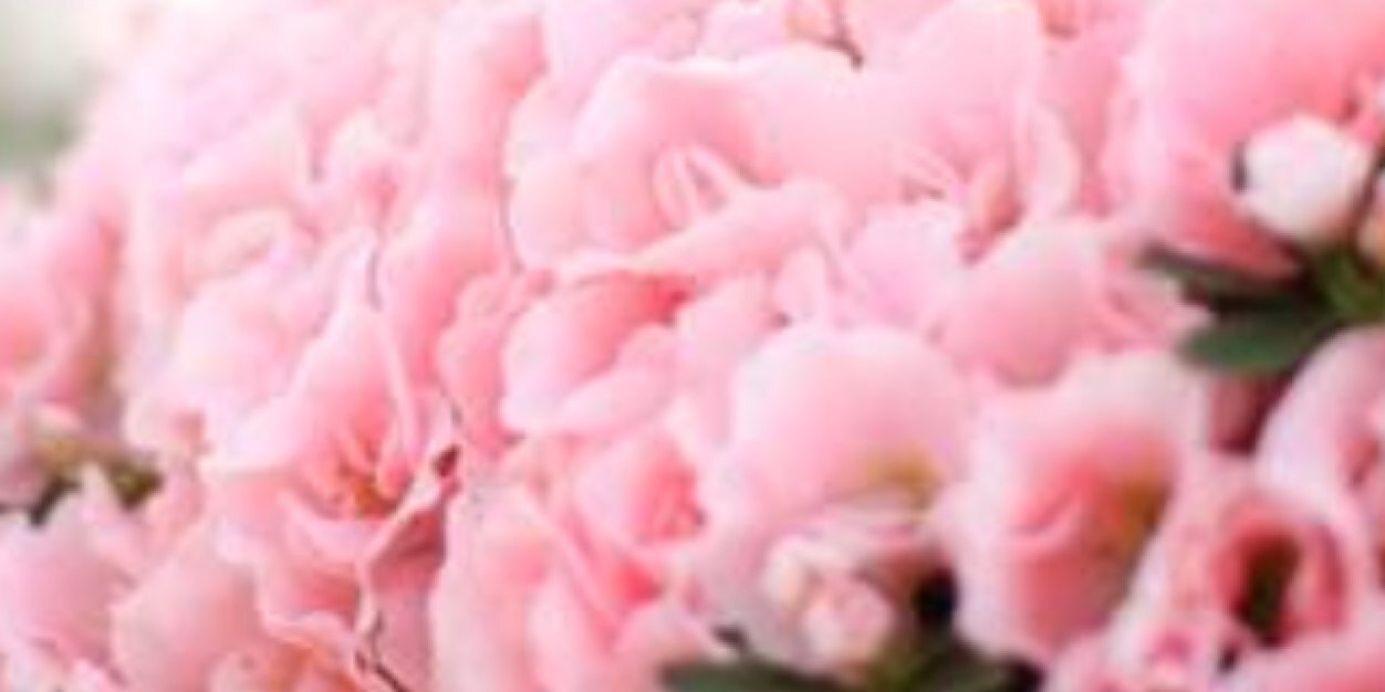 den0522's profile banner image
