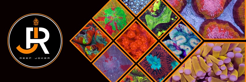 ReefJokerShop's profile banner image