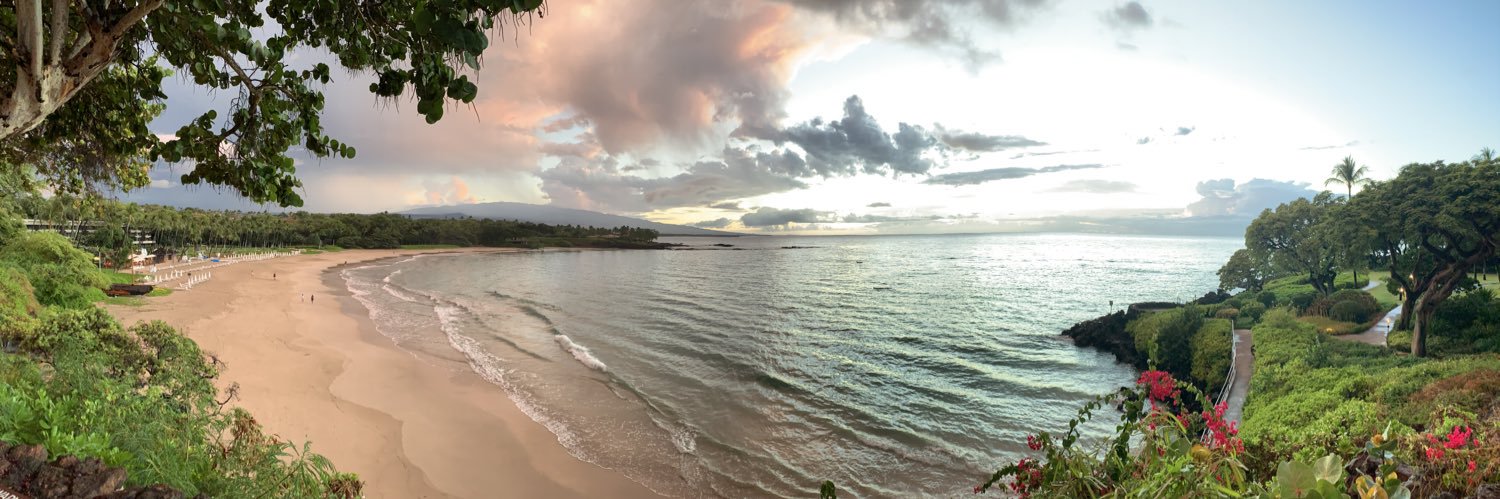 Virginia Houston banner