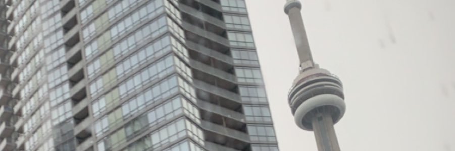 nikkita banner