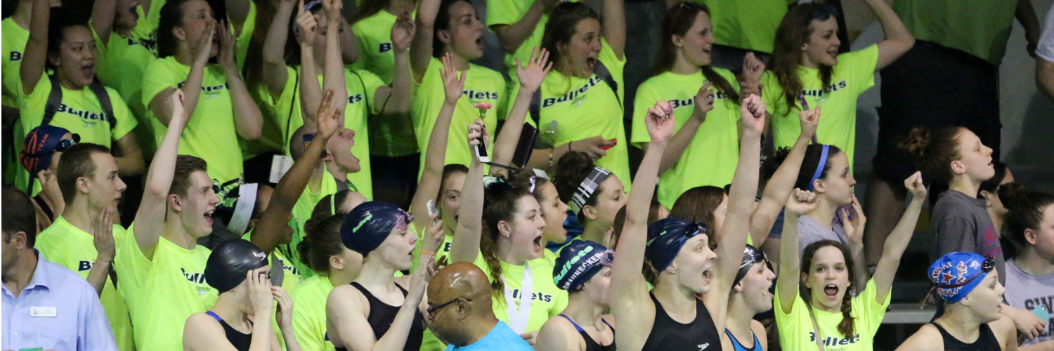 Academy Bullets banner