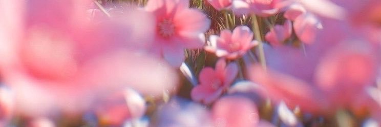 ai_KF's profile banner image