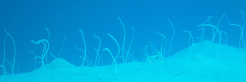 73_NMR's profile banner image