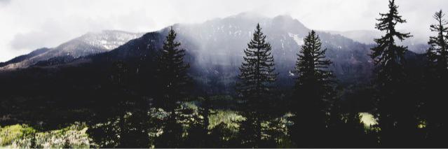 Aleksandra_kill's profile banner image