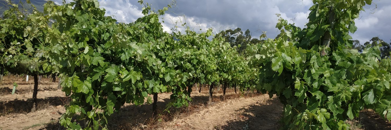 mjrsomm's profile banner image