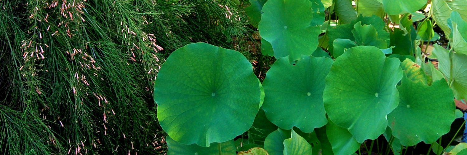stodd813's profile banner image