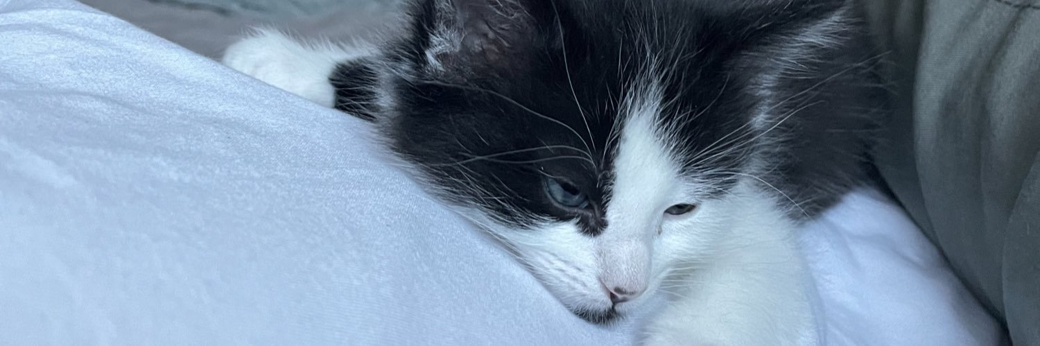 hi_dantee's profile banner image