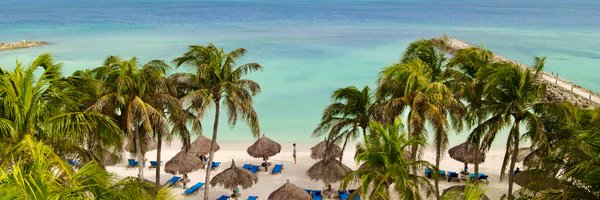 divivacation Profile Banner