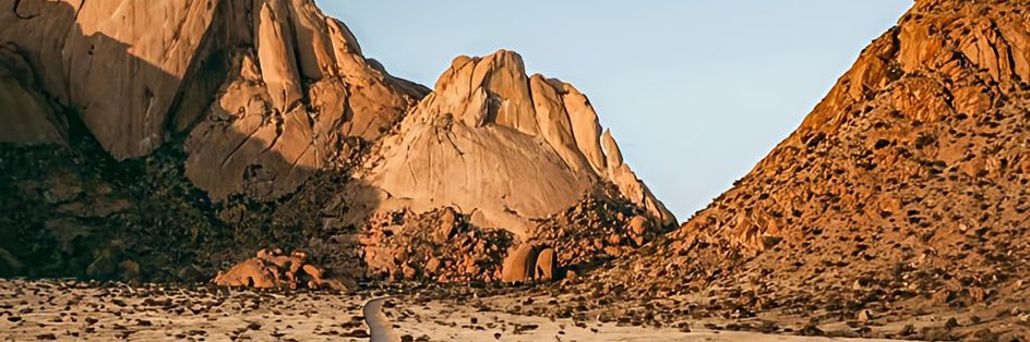 hbaladia's profile banner image
