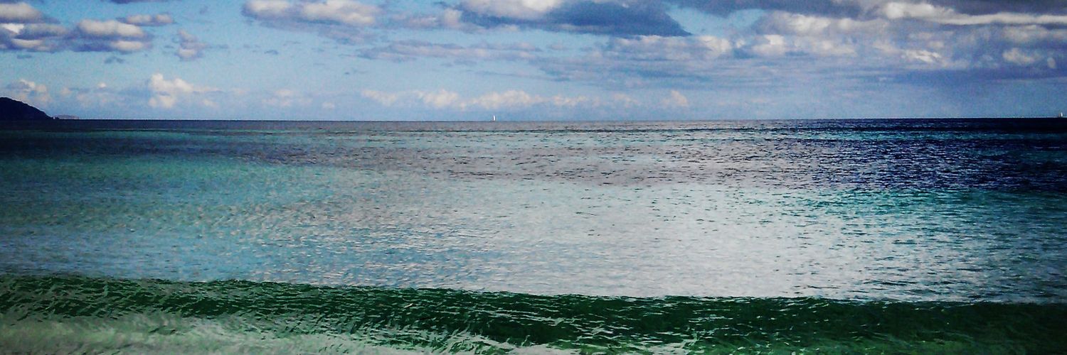 Rosiyag's profile banner image