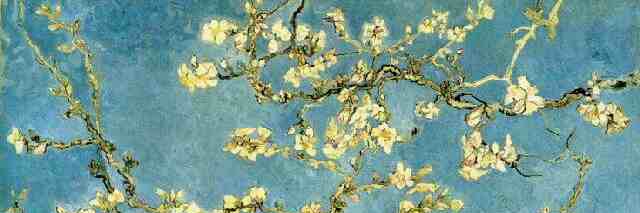 elena_piani's profile banner image
