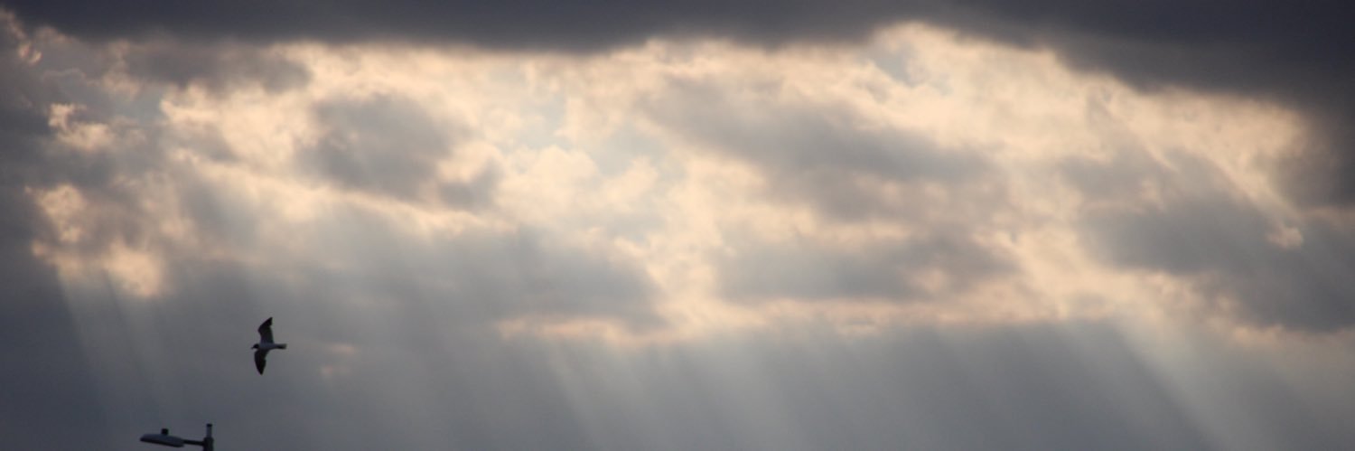 missster5's profile banner image