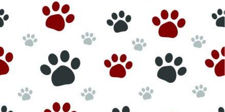 TFB_Catz's profile banner image