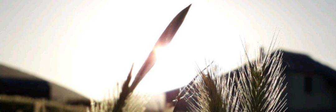 EsmerAkbal's profile banner image