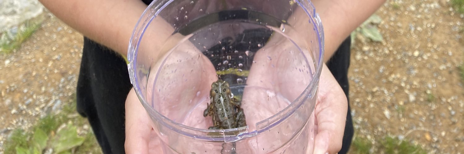 Sabrina (she/her) banner