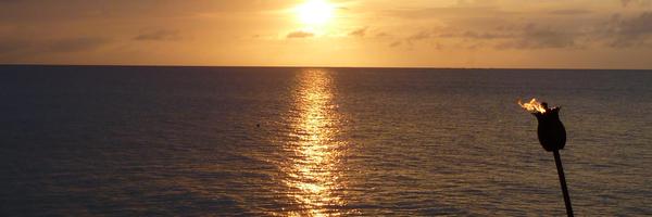 collyann12 Profile Banner