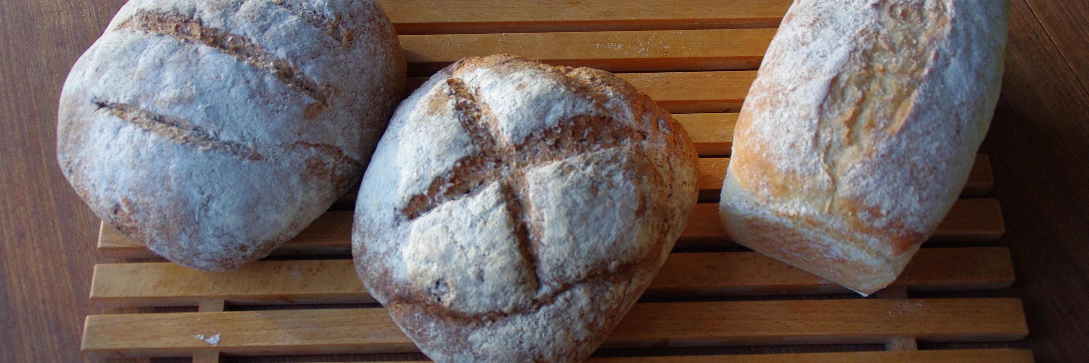 TheBayTreeBake's profile banner image