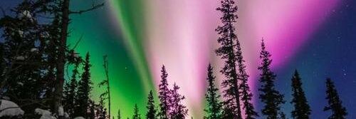 anonitgoes's profile banner image