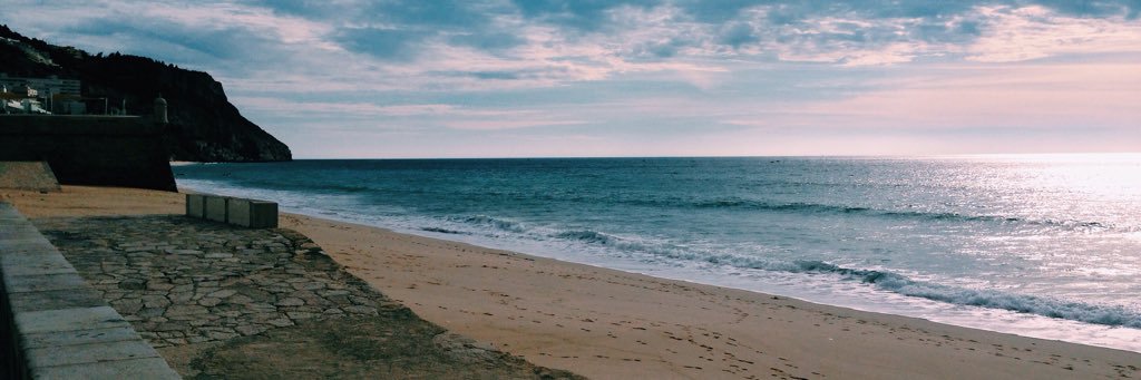 sofiaiddias's profile banner image