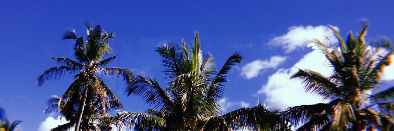 noubie19's profile banner image