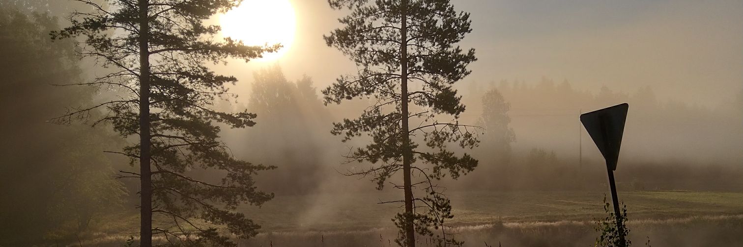 Simo Äikäs banner