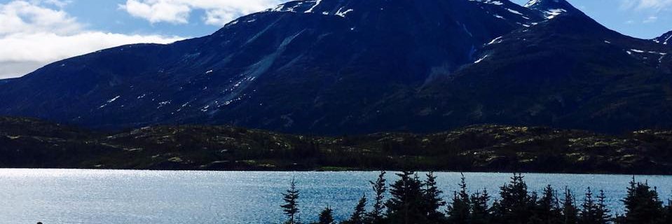 sarqueen24's profile banner image