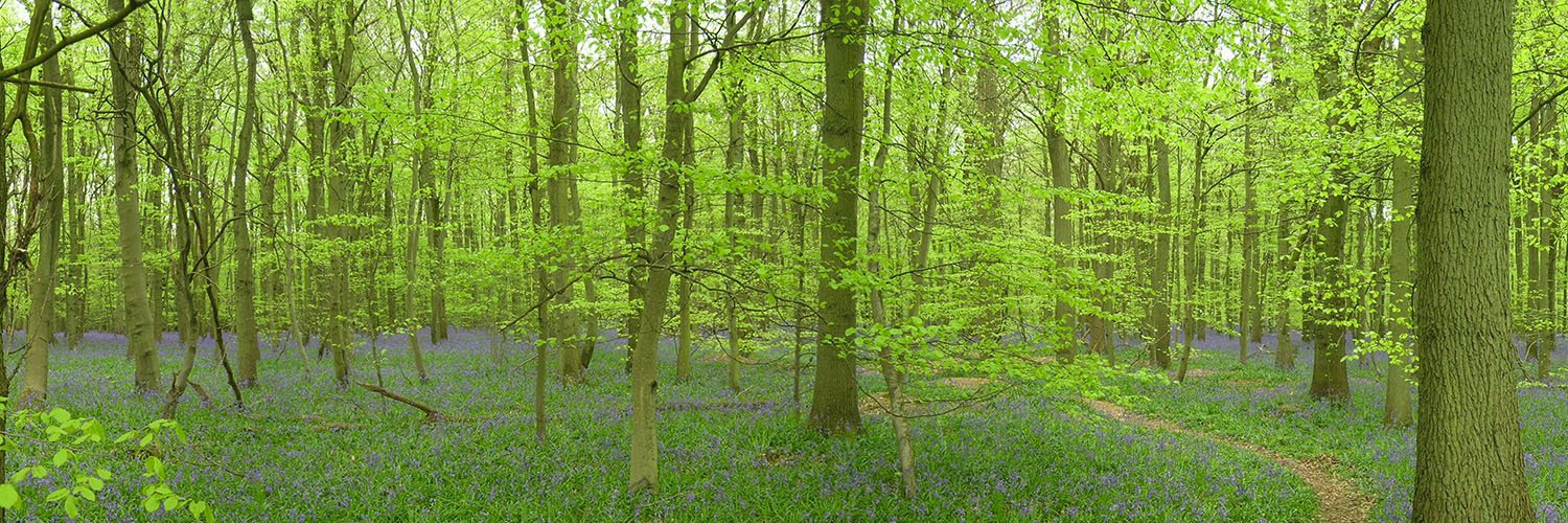 🏕インドア派キャンパー 📣ⒻⒸⓀⓁⒹⓅ🔥 banner