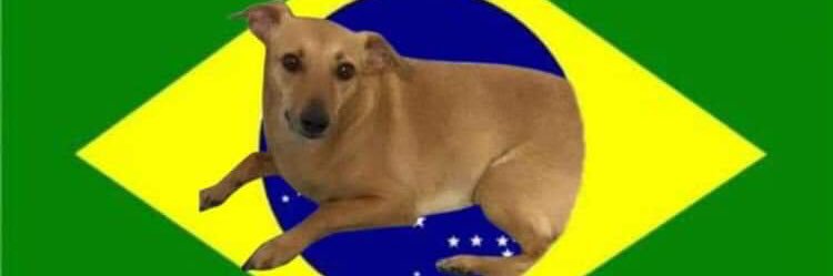 mbrprogressista's profile banner image