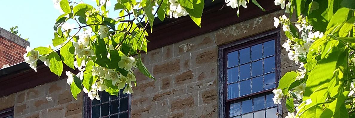 The Brown Homestead banner