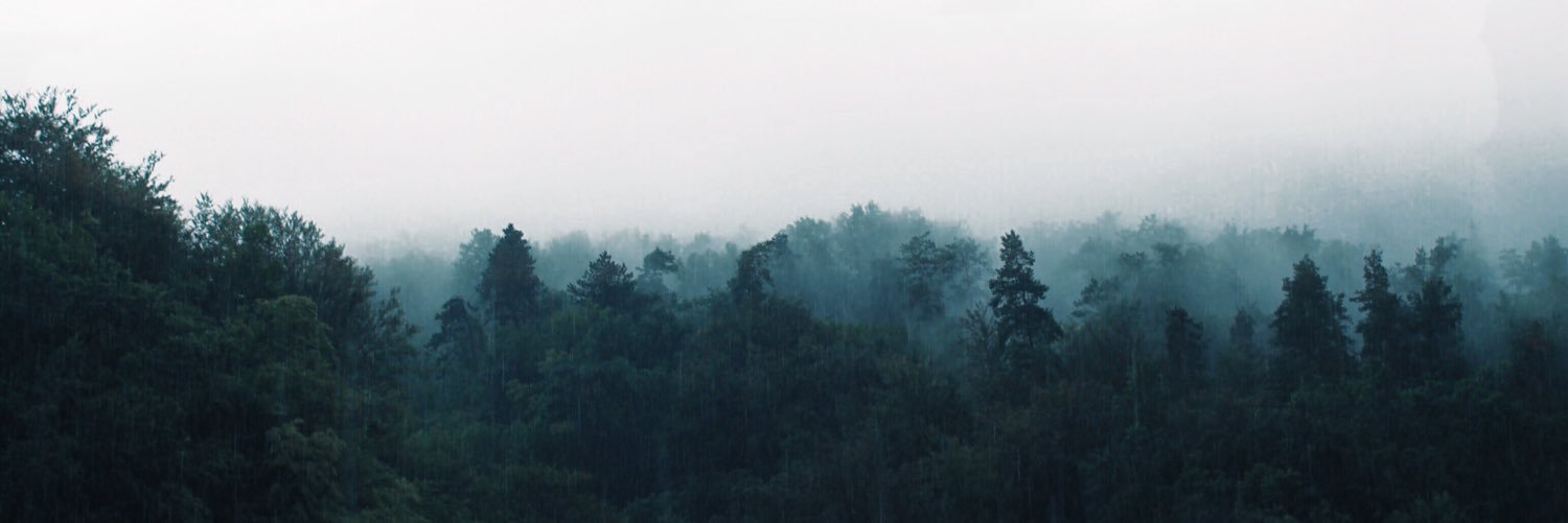 4evereverr's profile banner image