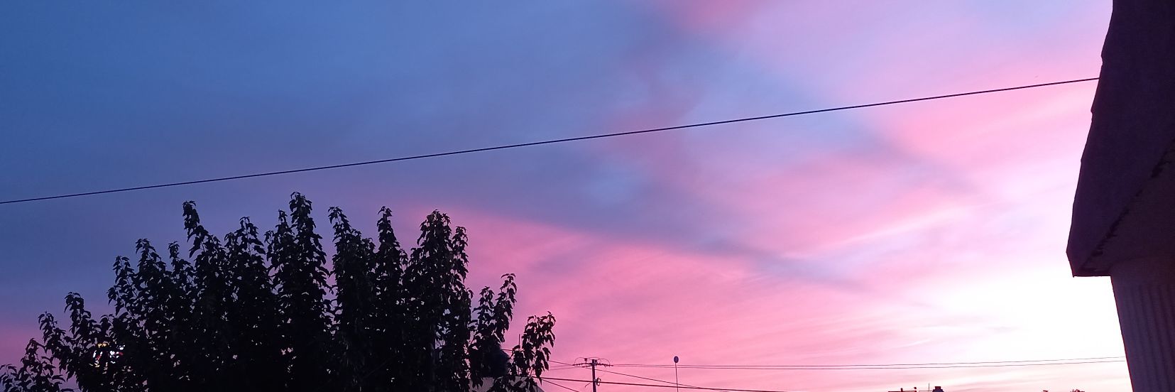 rebe_sh's profile banner image
