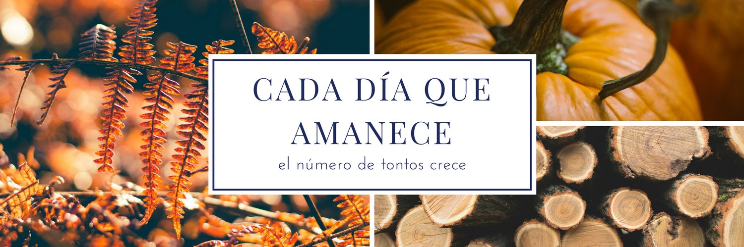 PedroRodCa's profile banner image