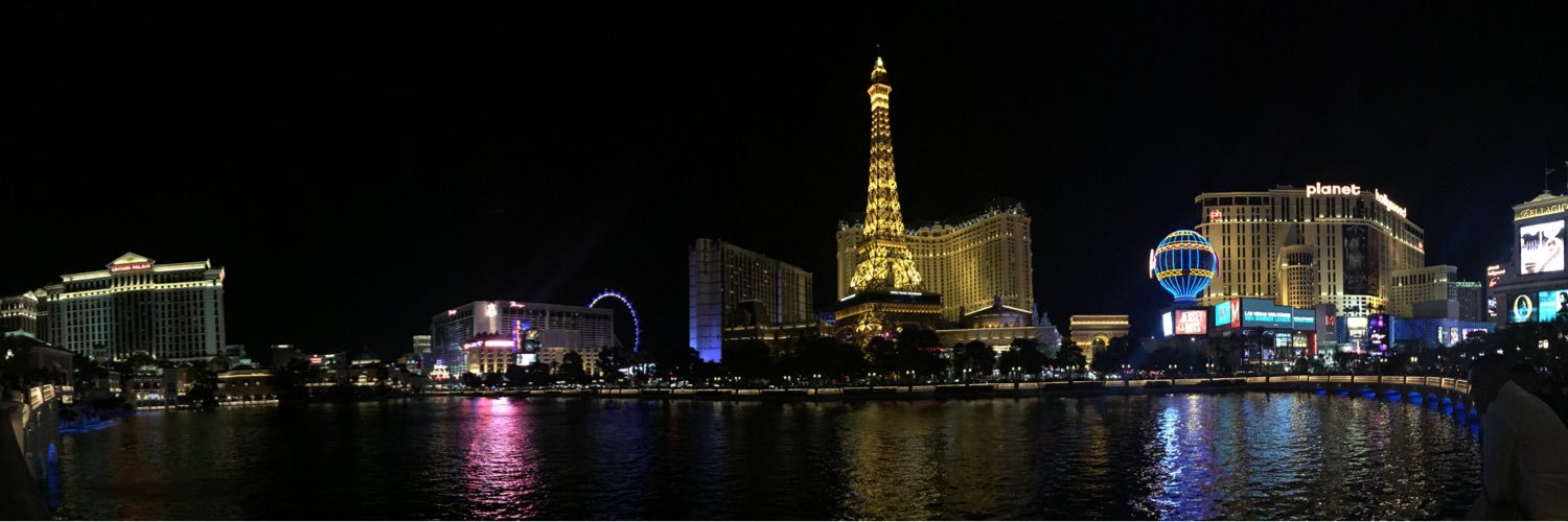 lucyawhiting's profile banner image