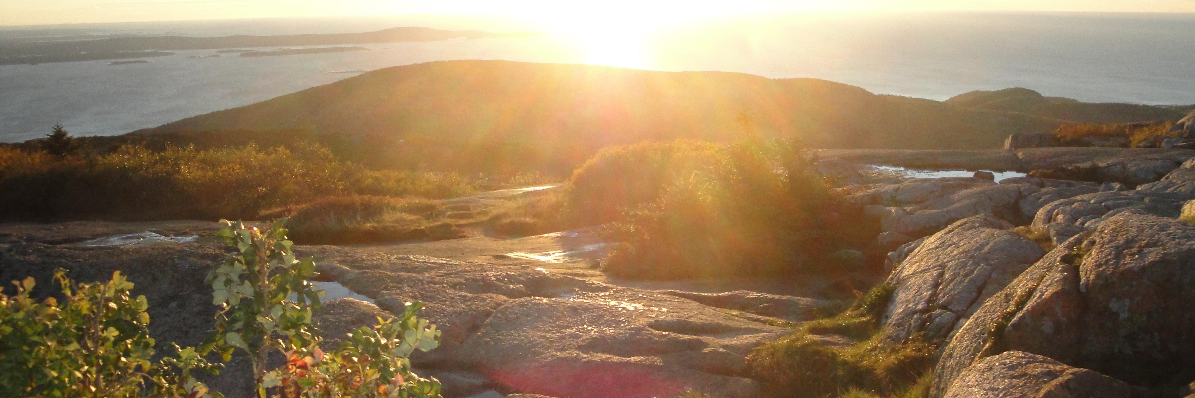 Erica Tripp Fisher banner