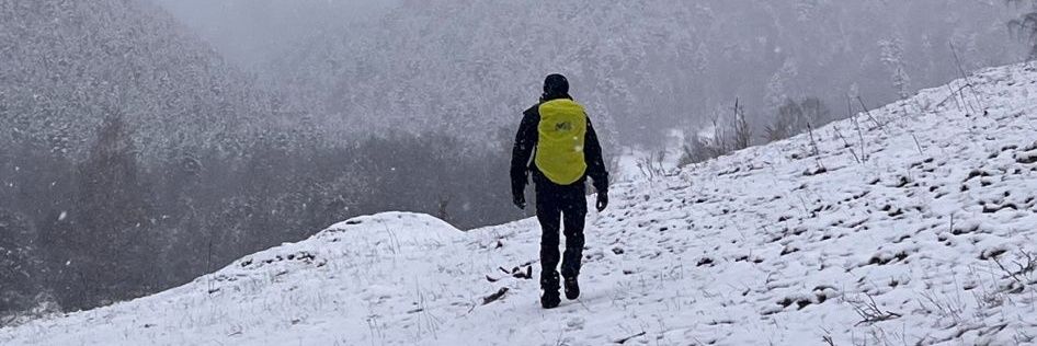Tèc paisatgisme i meteo  banner