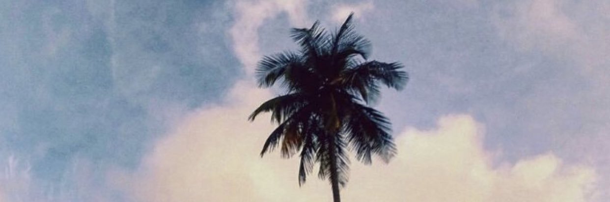 _anemcc's profile banner image